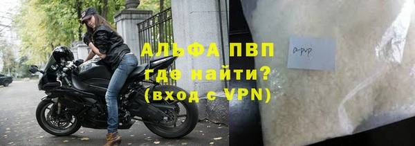 стафф Алексин