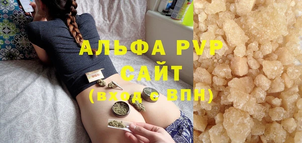 стафф Алексин