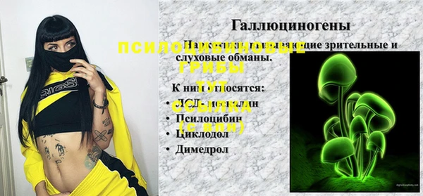 кокс Алексеевка